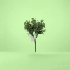 Pieza cuadrada de concha tejida a mano planta verde maceta acompañante regalo de mano pequeña plantación verde decoración Specification image